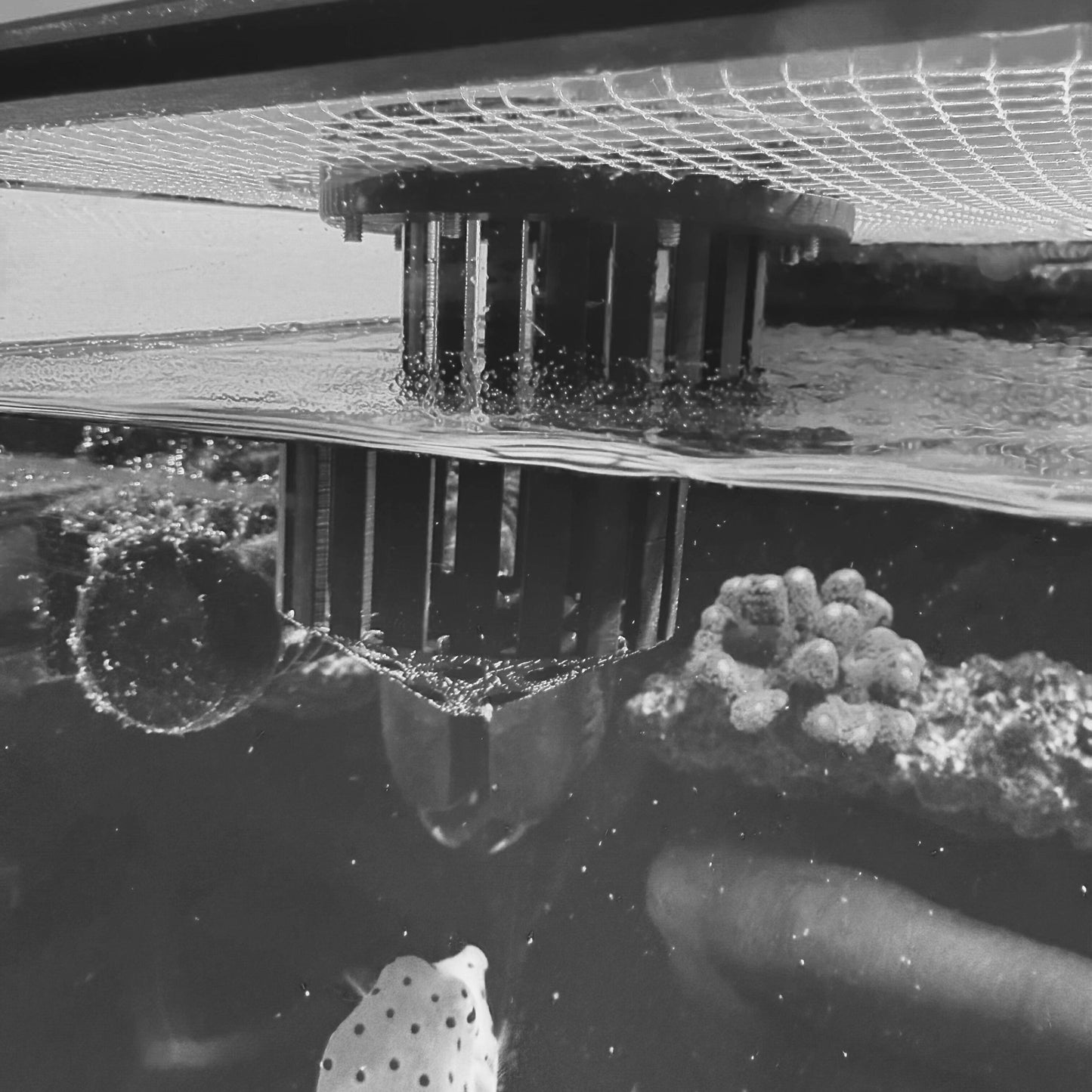 Aquarium Netting - Feed Port Pro (75mm)