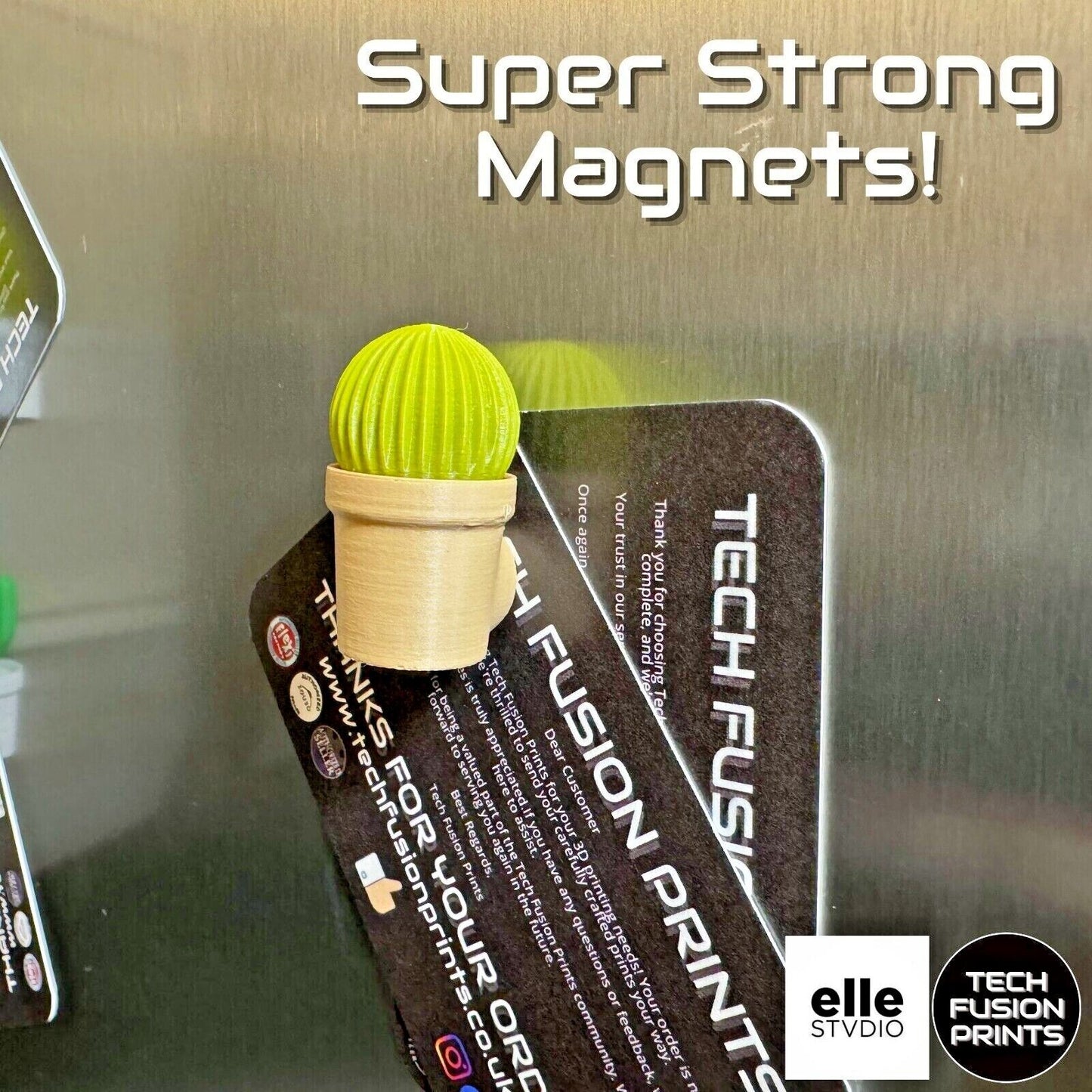 Magnectus Fridge Magnets (Set of 6)