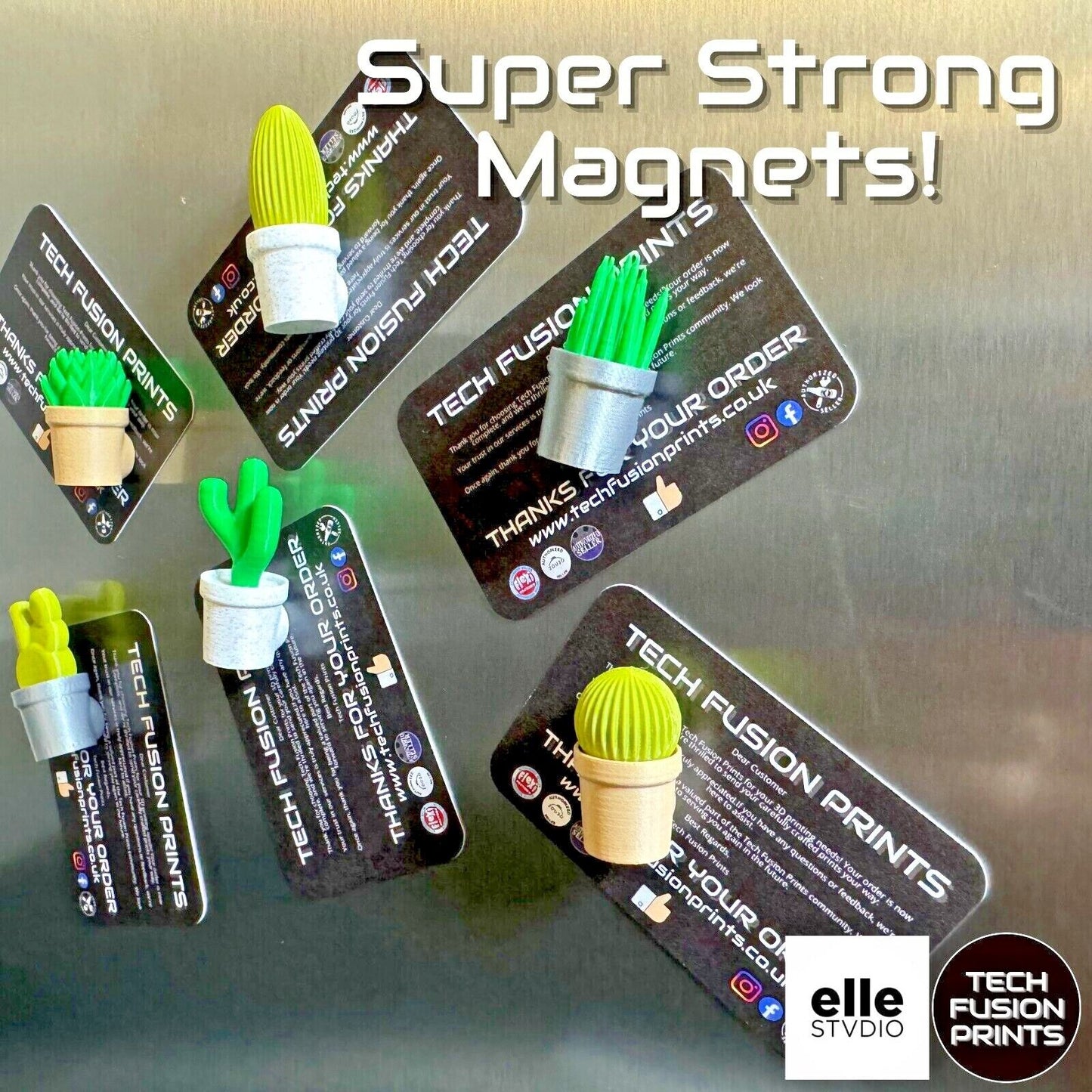 Magnectus Fridge Magnets (Set of 6)